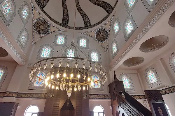 Hacı Hasan Yıldız Çınar Cami - Resim 2