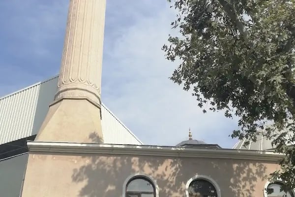 Hacı Hasan Yıldız Çınar Cami - Resim 8
