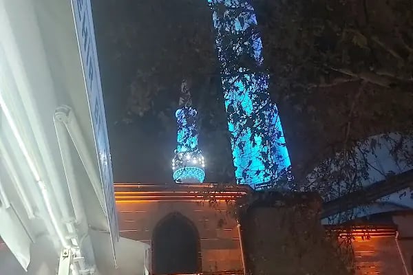 Hacı Hasan Yıldız Çınar Cami - Resim 13