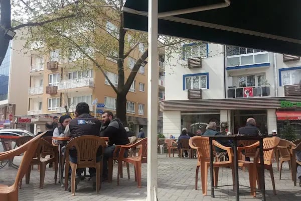 Hacı Hasan Yıldız Çınar Cami - Resim 12