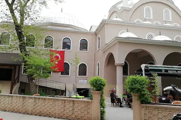 Hacı Hasan Yıldız Çınar Cami - Resim 9