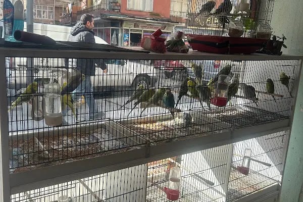 Uzman petshop - Resim 2