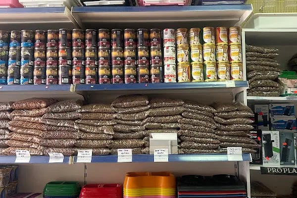 Uzman petshop - Resim 5