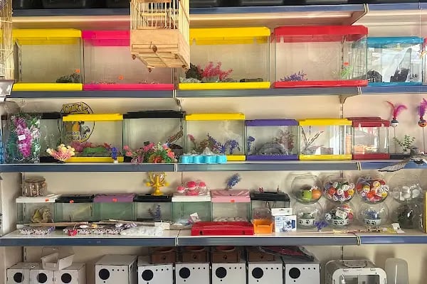 Uzman petshop - Resim 11