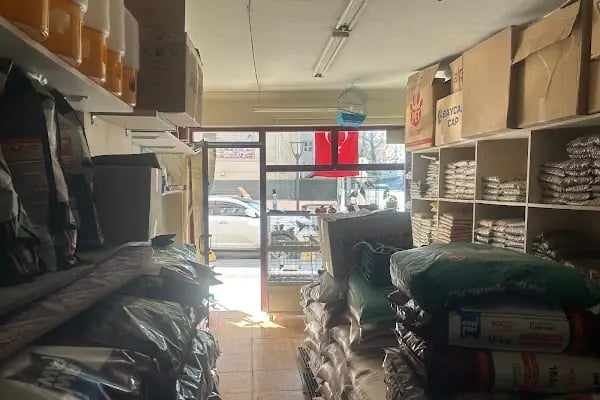 Uzman petshop - Resim 6