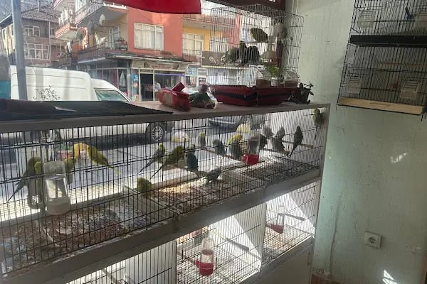 Uzman petshop - Resim 4