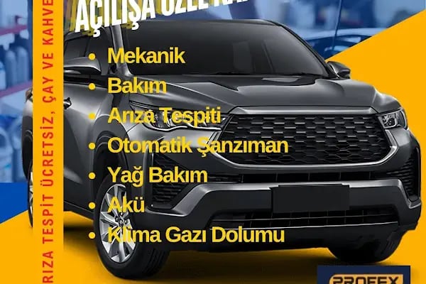 Profex Auto Service - Resim 18
