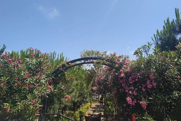 Akçaabat Körfez restaurant - Resim 19
