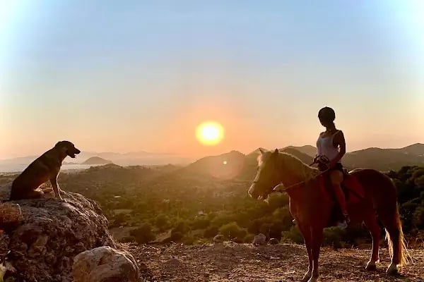 Bodrum Atlı Spor Kulübü - At Safari - Pony Binişi - Resim 3