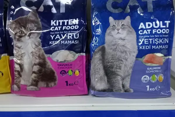 HüseyinGazi Petshop Akvaryum - Resim 9