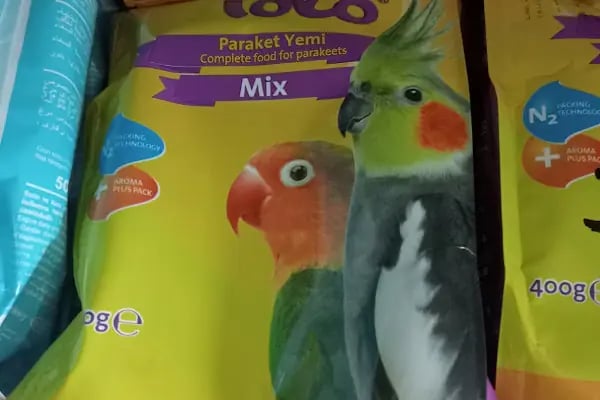HüseyinGazi Petshop Akvaryum - Resim 13