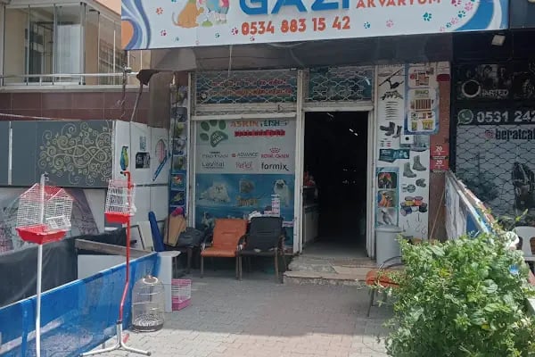 HüseyinGazi Petshop Akvaryum - Resim 2