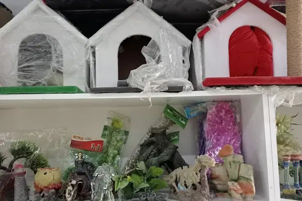 HüseyinGazi Petshop Akvaryum - Resim 5