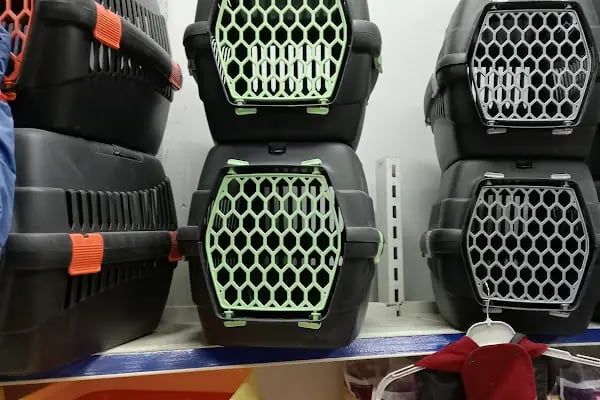 HüseyinGazi Petshop Akvaryum - Resim 18