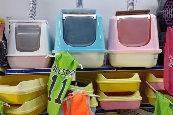 HüseyinGazi Petshop Akvaryum - Resim 15