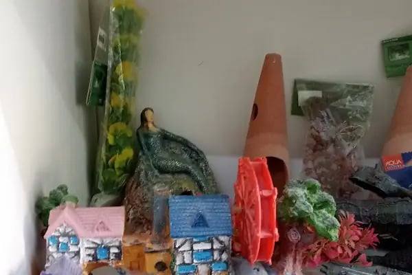 HüseyinGazi Petshop Akvaryum - Resim 8