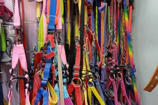 HüseyinGazi Petshop Akvaryum - Resim 14