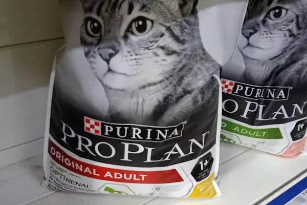 HüseyinGazi Petshop Akvaryum - Resim 4