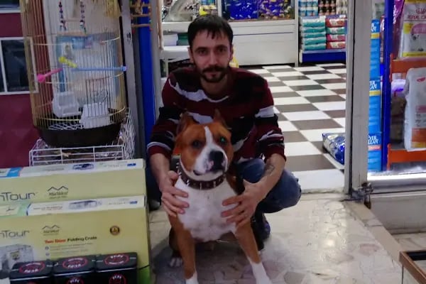 Sevimli Petshop - Resim 9