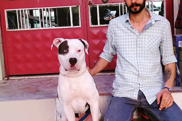 Sevimli Petshop - Resim 8