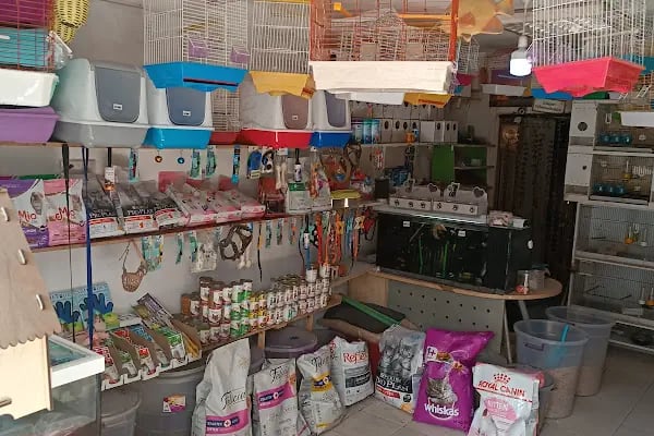 Yılmaz akvaryum &amp; petshop güneşli - Resim 5