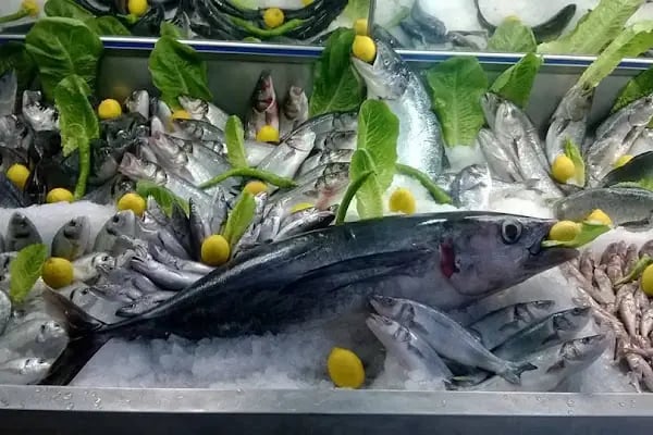 Bayraklı Balık Pişiricisi - Resim 3