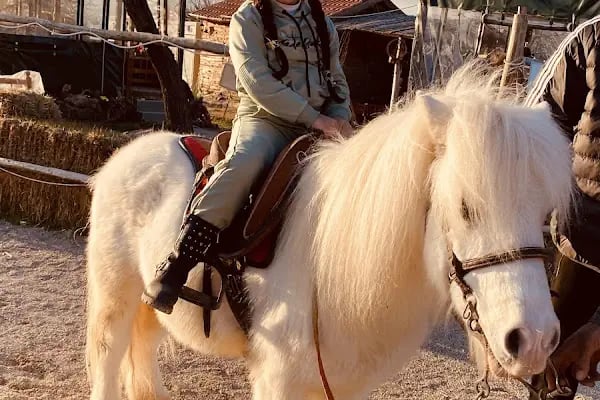 Gaziantep Hayvanat Bahçesi Binicilik &amp; Pony Club - Resim 18