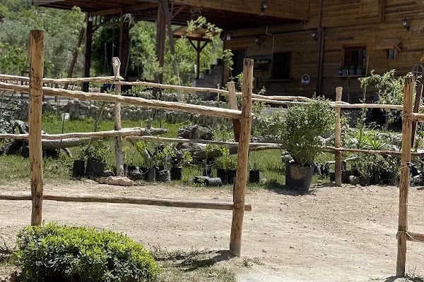 Gaziantep Hayvanat Bahçesi Binicilik &amp; Pony Club - Resim 3