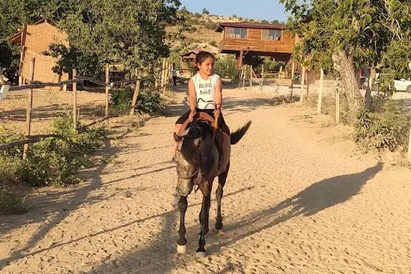 Gaziantep Hayvanat Bahçesi Binicilik &amp; Pony Club - Resim 6