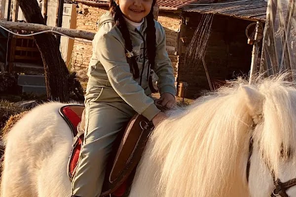 Gaziantep Hayvanat Bahçesi Binicilik &amp; Pony Club - Resim 17