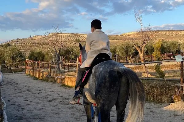 Gaziantep Hayvanat Bahçesi Binicilik &amp; Pony Club - Resim 13