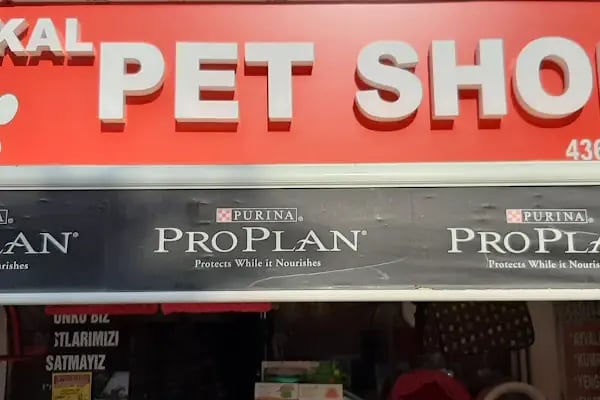 Proplan Baykal Pet Shop - Resim 5