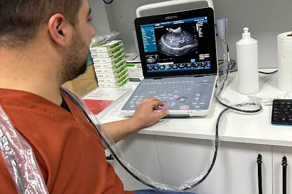 Aris Veteriner Kliniği - Resim 9