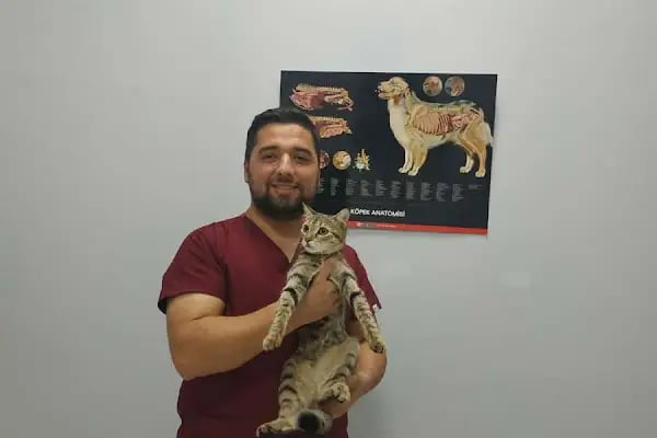 Aris Veteriner Kliniği - Resim 8