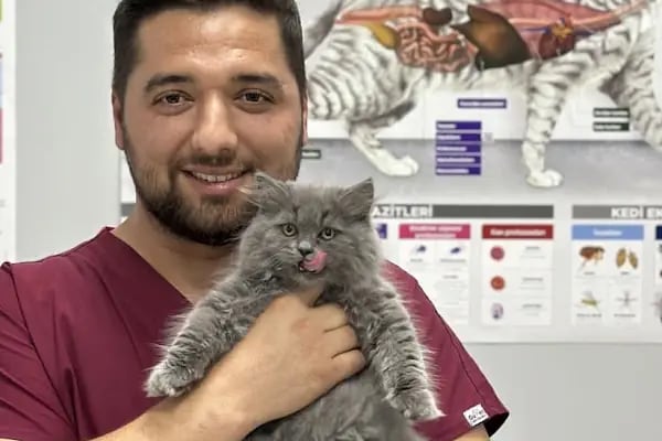 Aris Veteriner Kliniği - Resim 6