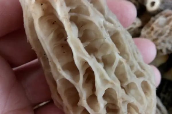 Gazipaşa Öğretmenevi Ve Akşam Sanat Okulu - Resim 18