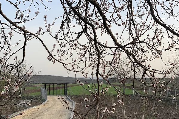 ARSLANN BAĞ EVİ - Resim 19