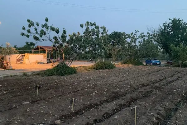 ARSLANN BAĞ EVİ - Resim 6