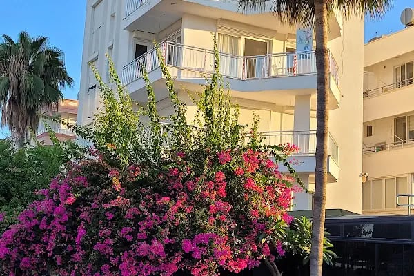 BALŞEN HOTEL - Resim 9