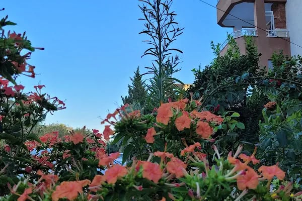 BALŞEN HOTEL - Resim 11