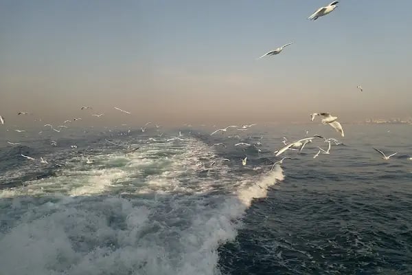 Burgazada Halk Plajı - Resim 18