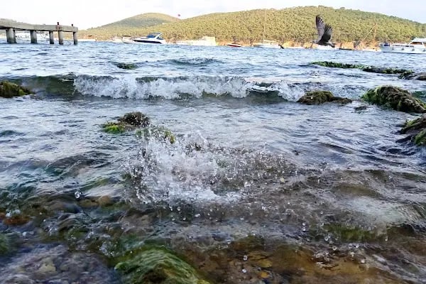 Burgazada Halk Plajı - Resim 12