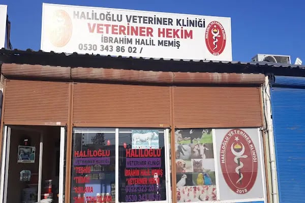 HALİLOĞLU VETERİNER KLİNİĞİ - Resim 2