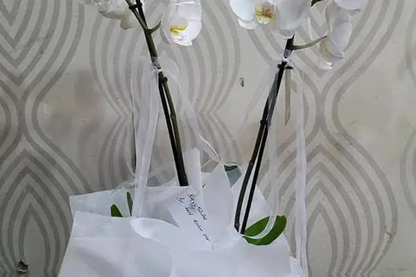 Naturel Çiçekçilik - Resim 9