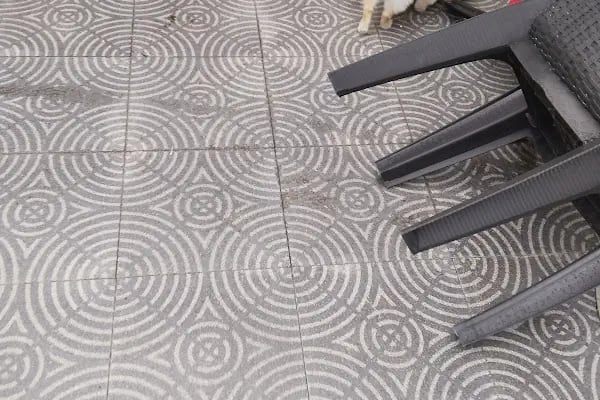 Petkey Veteriner Kliniği - Resim 15
