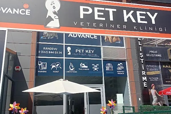 Petkey Veteriner Kliniği - Resim 14