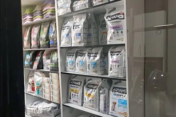 Keçiören Veteriner Kliniği - Resim 10