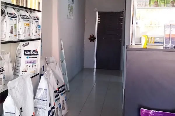 Keçiören Veteriner Kliniği - Resim 7