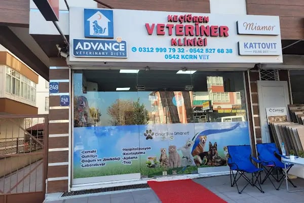 Keçiören Veteriner Kliniği - Resim 11