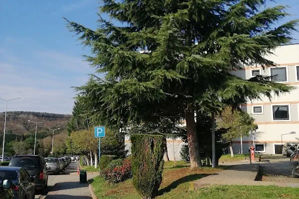 Kocaeli Üniversitesi Fen Edebiyat Fakültesi A Blok - Resim 5